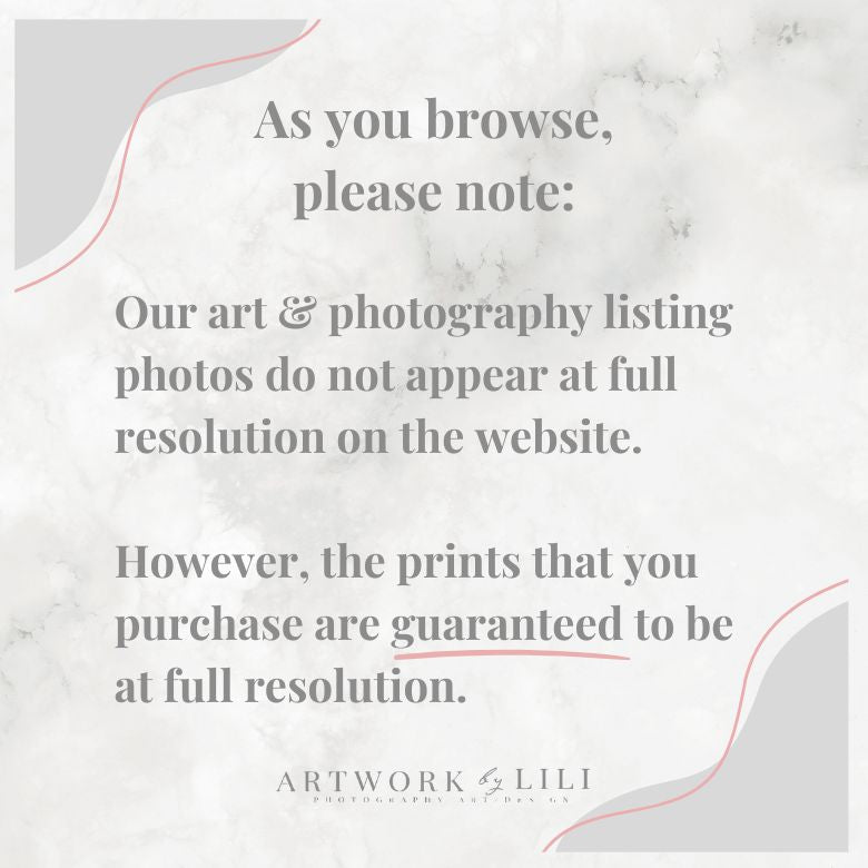 NYC Bethesda Fountain Photography, Iconic Landmark Architecture Print - Artwork by Lili