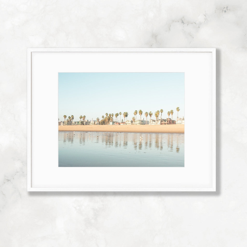 Santa Monica Beach Photography, Los Angeles California Palm Trees Landscape Nature Print - Artwork by Lili