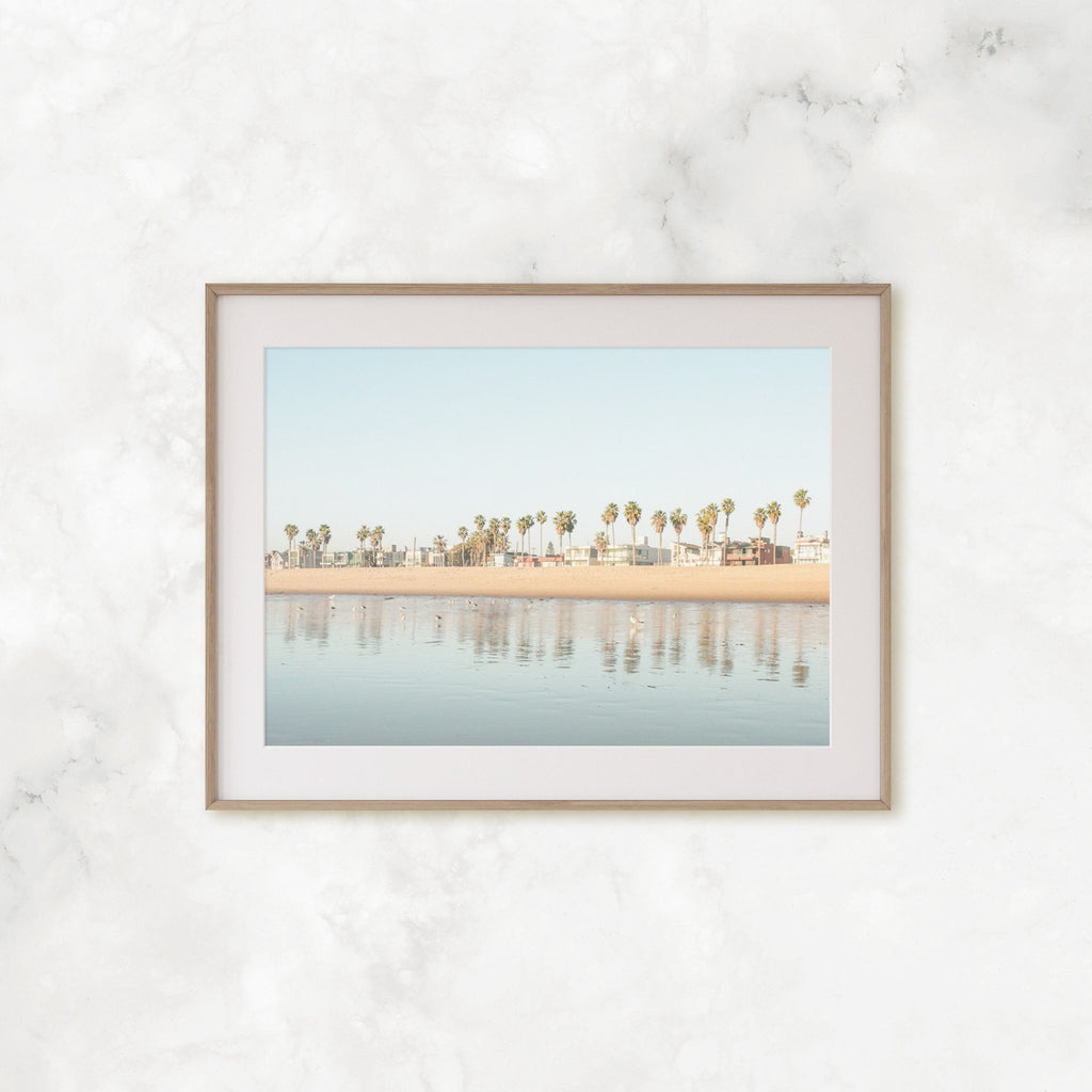 Santa Monica Beach Photography, Los Angeles California Palm Trees Landscape Nature Print - Artwork by Lili