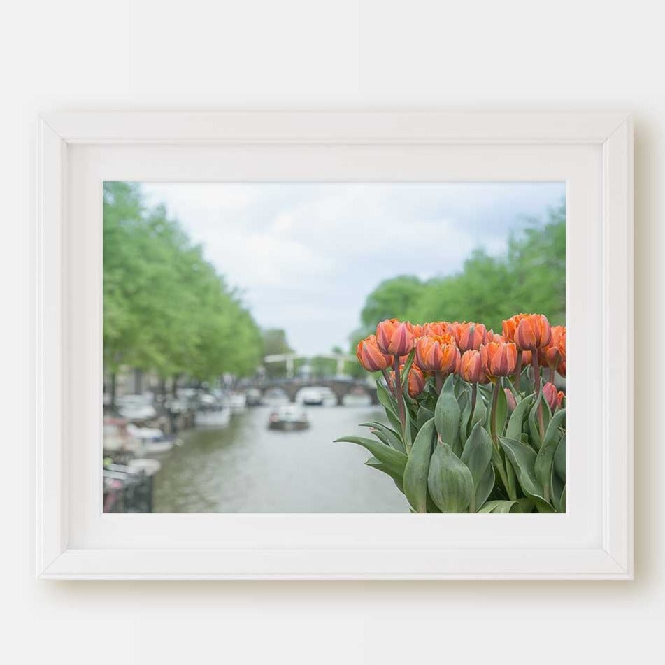 Amsterdam Prints, Netherlands Travel Photography, Amsterdam Tulip Prints, Amsterdam Cityscape, Orange Tulips, Wall Art Prints, Home Decor - Artwork by Lili