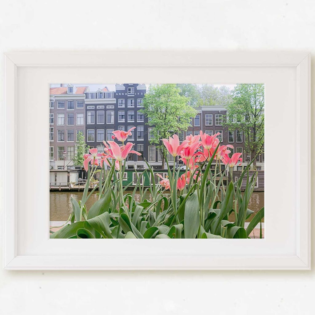 Amsterdam Travel Photography, Netherland Holland Tulips, Dutch Cityscape, Home & Office Wall Decor - Artwork by Lili