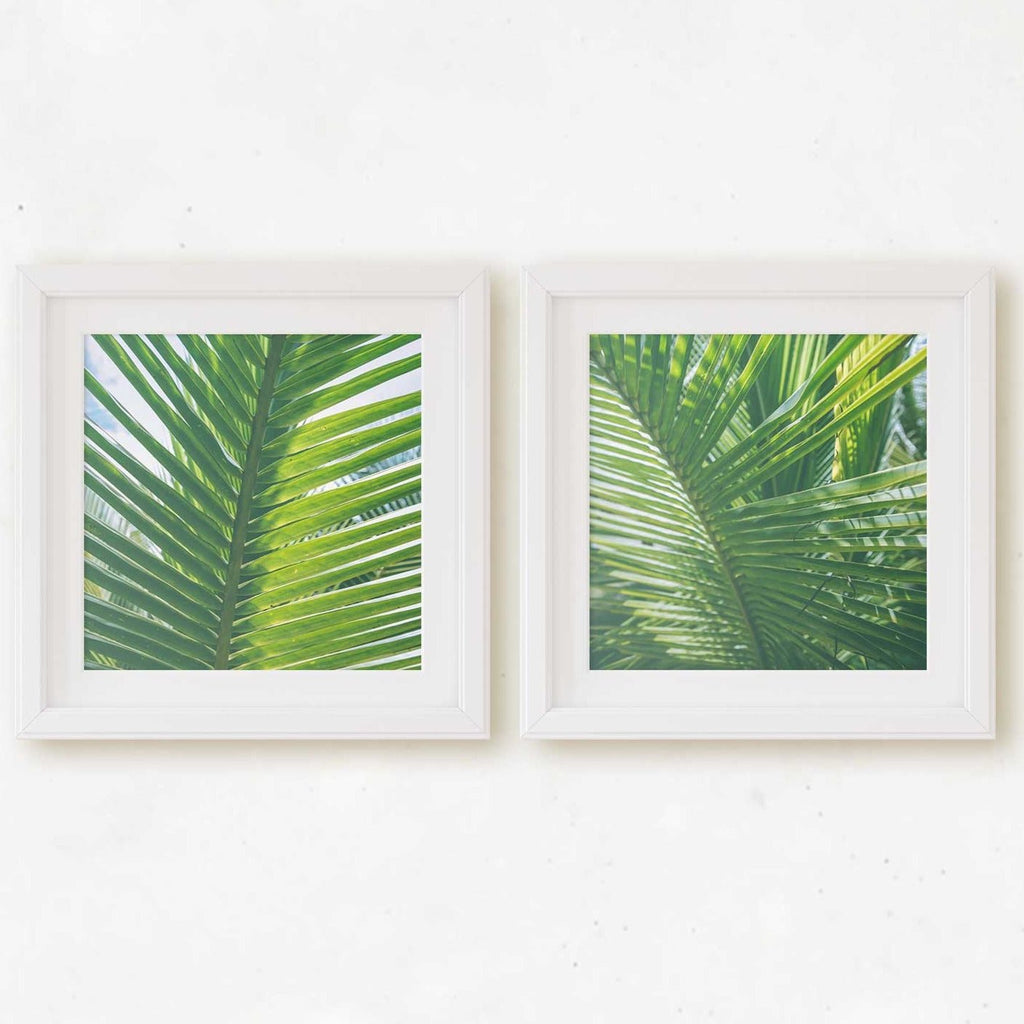 Costa Rica Nature Photography Set of 2 Square Prints, Central America Tropical Green Palm Leaf Prints, Home & Office Wall Art - Artwork by Lili